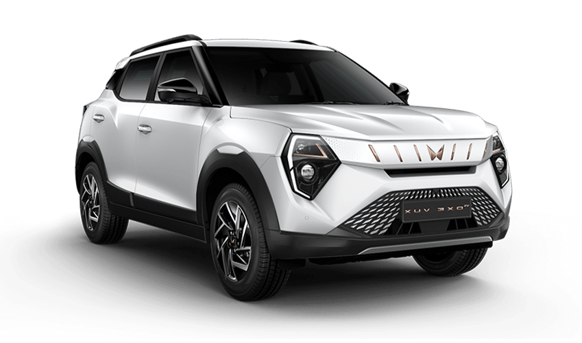 EVEREST WHITE