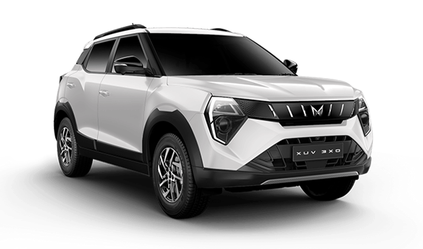 EVEREST WHITE