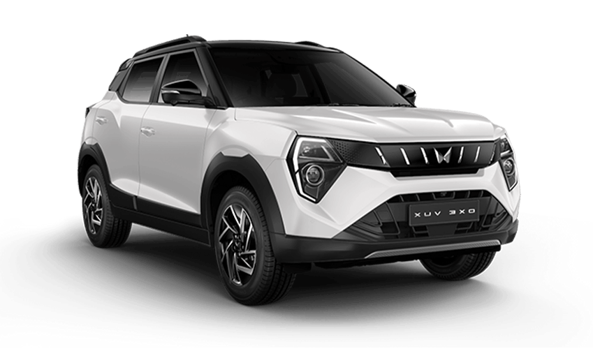 EVEREST WHITE BLACK