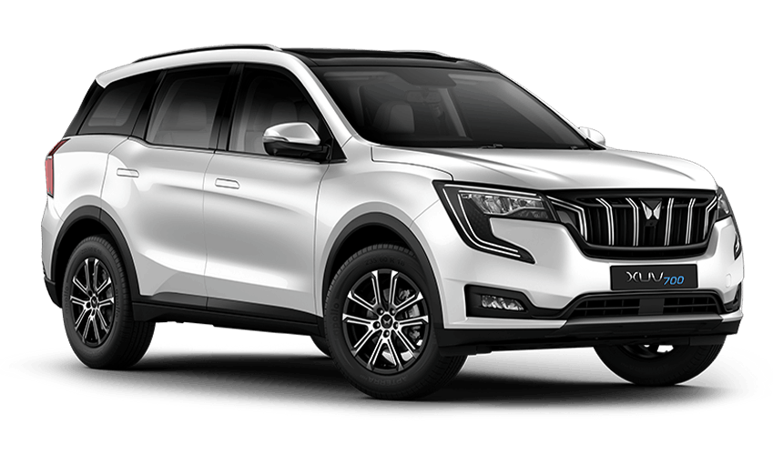 EVEREST WHITE DT